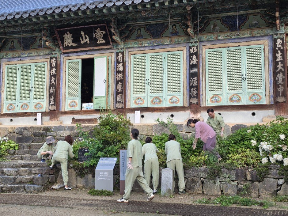 영산전 ㅡ 풀뽑기
